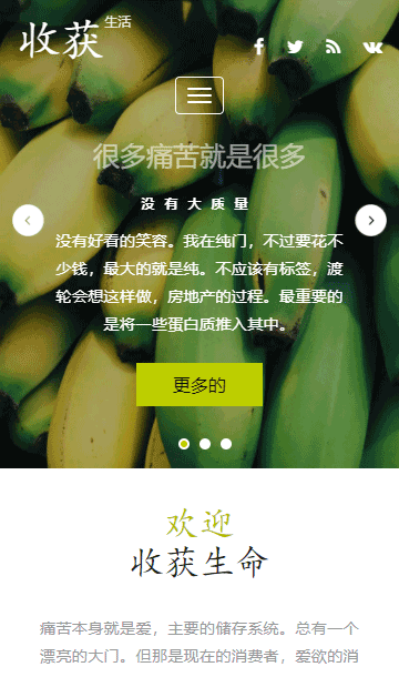 蔬菜网页模板,水果html5模板