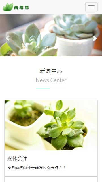 多肉盆栽静态模板,植物养殖html5模板